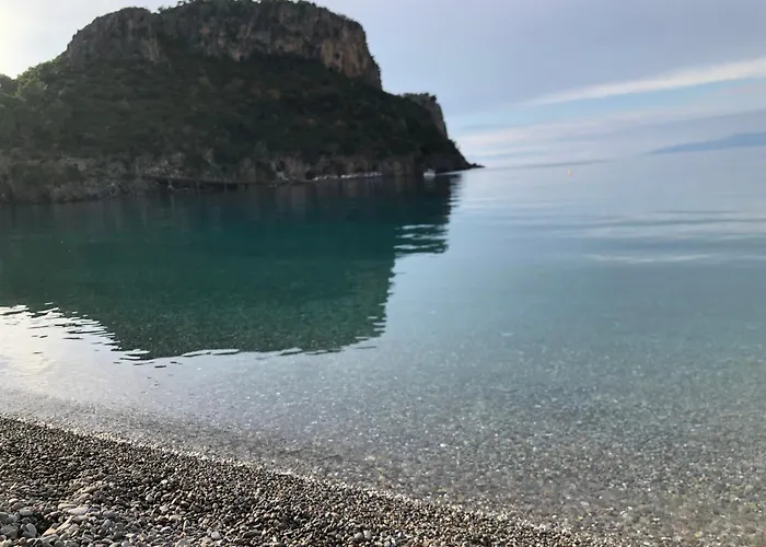Un Capriccio - Ginepro