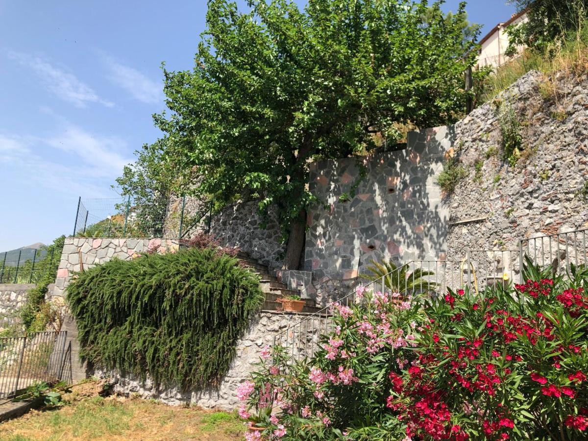 Un Capriccio - Ginepro * Aieta